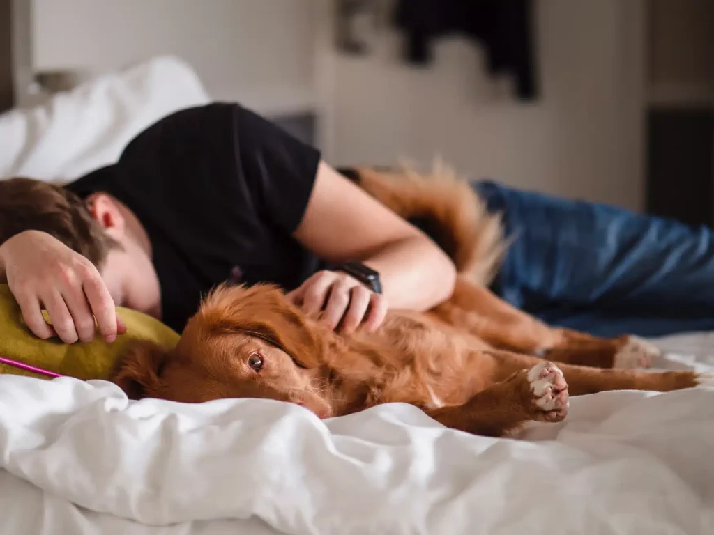 Man and dog lounging on a bed, enjoying a peaceful moment together.